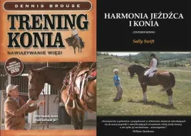harmonia-jezdzca-i-konia-sally-trening-konia