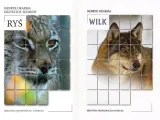rys-wilk-okarma-myslistwo-lowiectwo