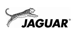 jaguar-grzebien-a-line-505