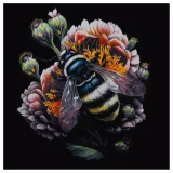 arte-peleryna-pszczolka-stan-nowy