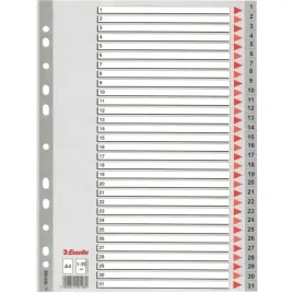przekladki-pp-esselte-a4-1-31