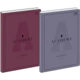 brulion-interdruk-academy-a4-96k-kratka