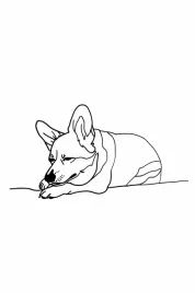 plakat-40x60cm-spiacy-corgacz