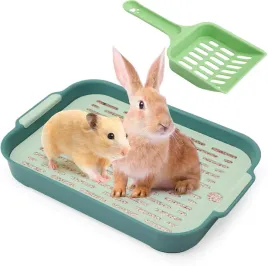 kuweta-dla-krolikow-kotow-gryzoni-mala-oddychajaca-otwarta-solidna-zielona