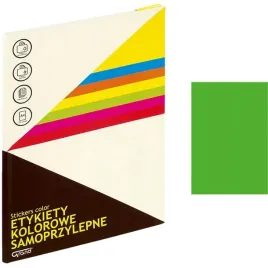 etykiety-a4-grand-210mm-297mm-zielone-25