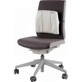 podporka-pod-plecy-fellowes-slimline