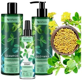 na-wypadanie-wlosow-lysienie-zakola-na-wypadajace-wlosy-dla-mezczyzn-zestaw