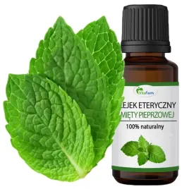 olejek-mietowy-na-myszy-gryzonie-bezpieczny-dla-dzieci-naturalny-eteryczny