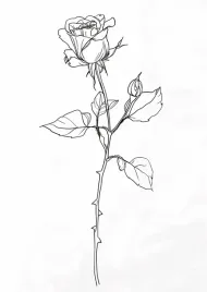 plakat-42x594cm-kontur-rozy