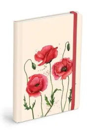 brulion-z-gumka-120k-gladki