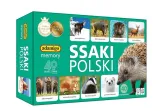 ssaki-polski-memory