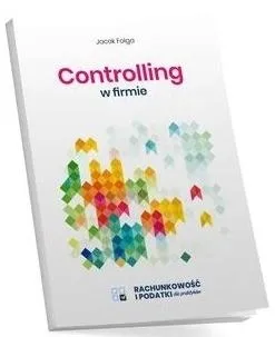 controlling-w-firmie