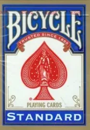 bicycle-rider-back-standard-talia-kart