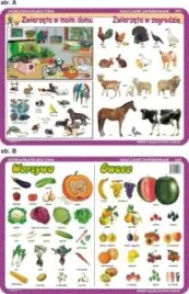 podkladka-edukacyjna-003-warzywa-owoce
