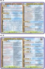 podkladka-edukacyjna-011-przecinek-srednik-kropka