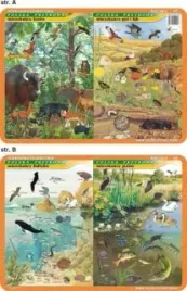 podkladka-edukacyjna-021-mieszkancy-baltyku