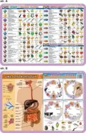podkladka-edukacyjnna-055-szkielet-miesnie