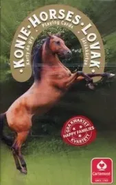 karty-konie