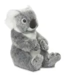 koala-22-cm