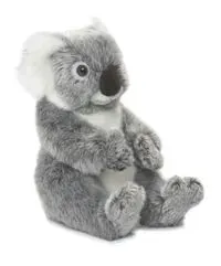 koala-22-cm