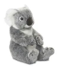 koala-22-cm