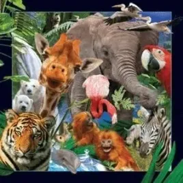 magnes-3d-dzikie-zwierzeta