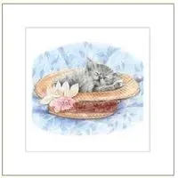 karnet-rysowany-kot-w-kapeluszu-16x16-koperta