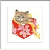 karnet-rysowany-kot-w-pudelku-16x16-koperta
