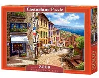 puzzle-afternoon-in-nice-3000