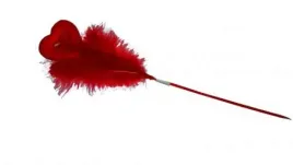 serduszko-z-piorami-na-piku