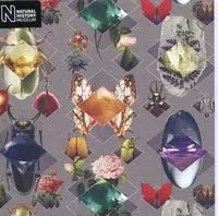 karnet-kwadrat-z-koperta-beetles-and-jewels