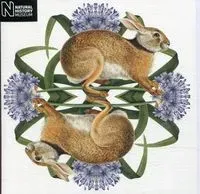 karnet-kwadrat-z-koperta-european-brown-hare