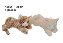 kot-z-glosem-k0561