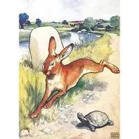 ksb-347899-karnet-b6-z-koperta-the-hare-and-the-tortoise