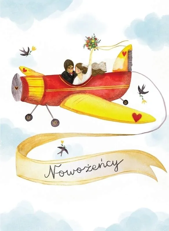 henry-karnet-slub-samolot