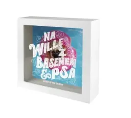 skarbonka-na-wille-z-basenam-and-psa
