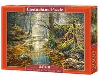 puzzle-reminiscence-of-the-autumn-forest-2000