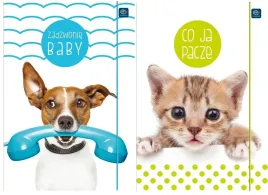 teczka-z-gumka-a4-lux-uv-puppy-sign-10szt