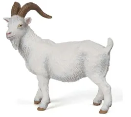 koza