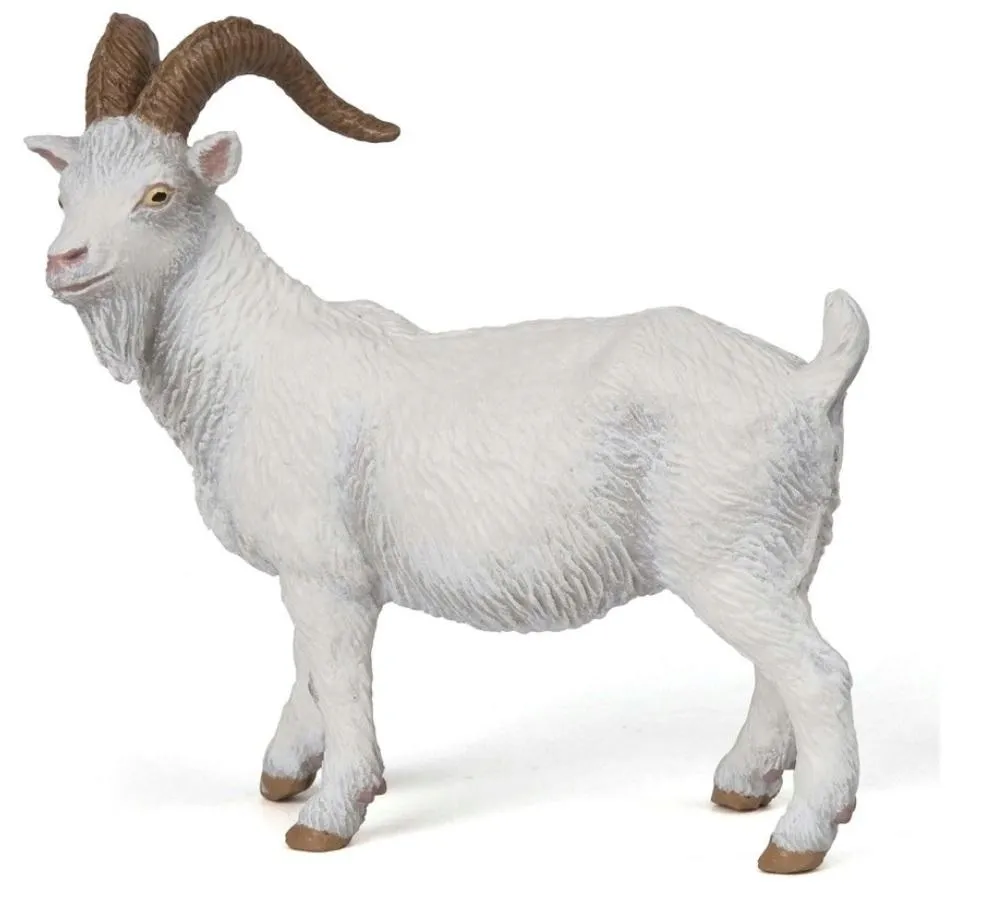 koza