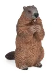 swistak