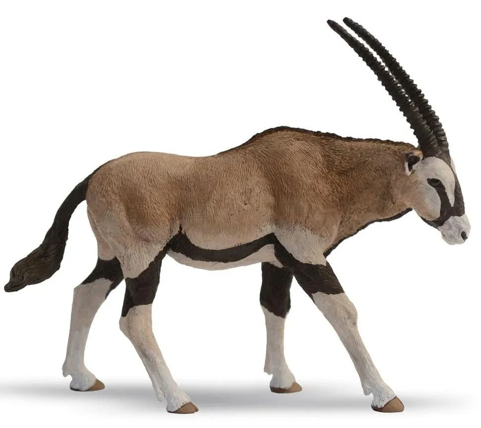 antylopa-oryx