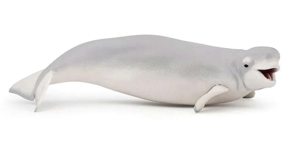 bieluga