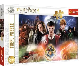 puzzle-300-tajemniczy-harry-potter-trefl