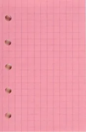 wklad-do-organizera-st-kratka-czerwona-antra