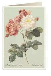 karnet-b6-koperta-6066-kolorowe-roze