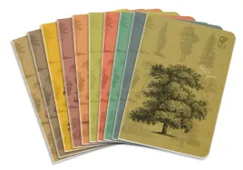 zeszyt-a5-80k-linia-by-nature-forrest-10szt