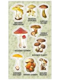 naklejka-nalepka-grzyby-trujace