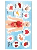 naklejki-anatomia-czlowieka