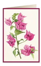 karnet-b6-koperta-5934-bugenwilla-2